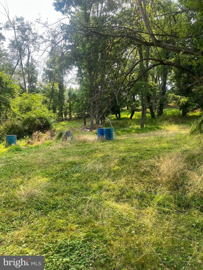 8621 Wrights Mill Rd, Windsor Mill, MD 21244 - photo 6