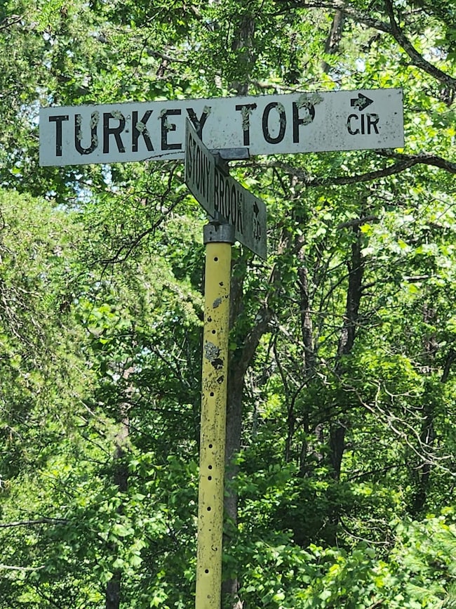 0 Turkey Top Cir unit 362748, Augusta, VA 24485 - photo 2