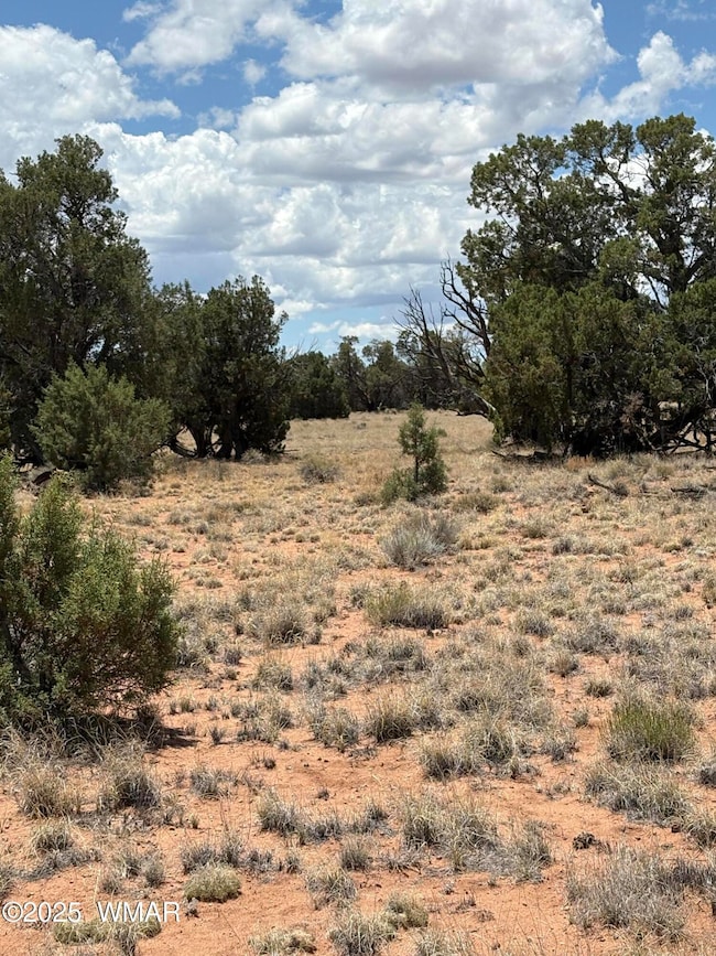 Junipers