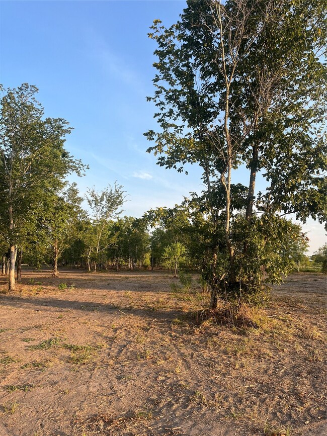 2645 County Road 159, Alvin, TX 77511 - photo 3