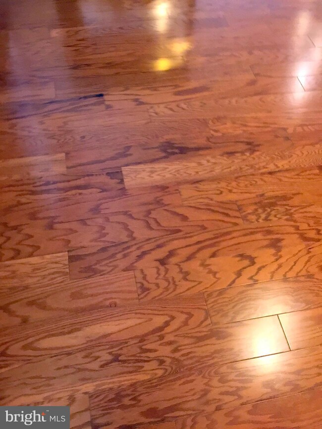 207 Encore Ct, Centreville, MD 21617 - photo 5