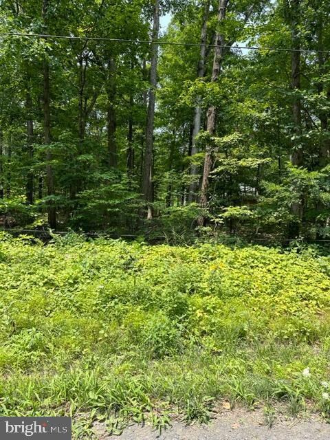 0 0 unit VAFV2014428, Winchester, VA 22602 - photo 3