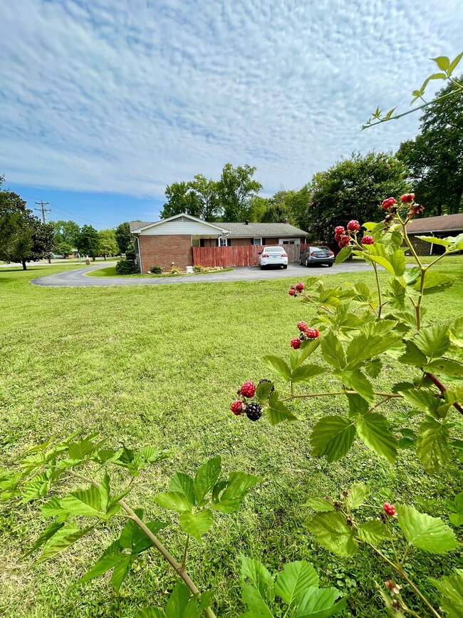 101 Hood Trail, Portland, TN 37148 - photo 4