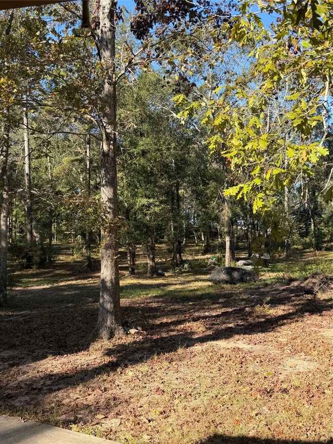 14696 Kyle Ln, Conroe, TX 77306 - photo 6