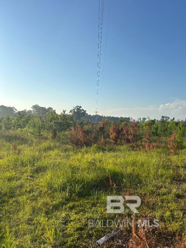 View of undeveloped land