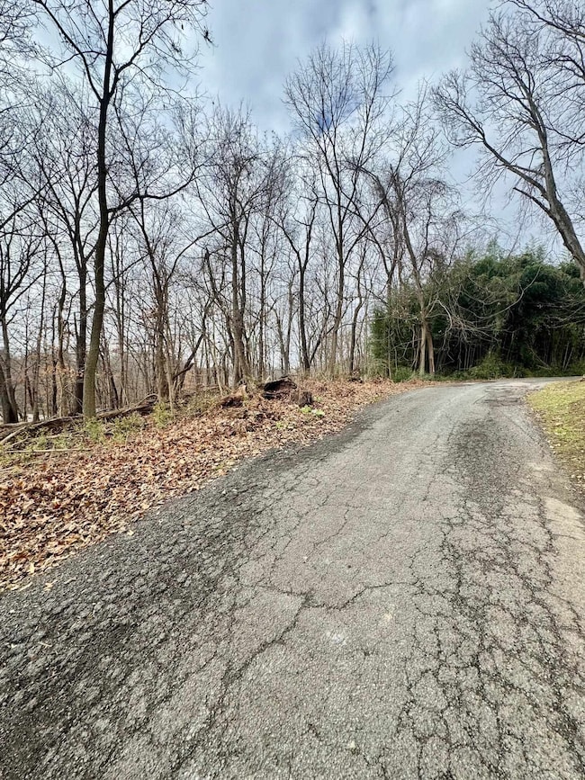 000 Chestnut Hill Dr, Ashland, KY 41101 - photo 3