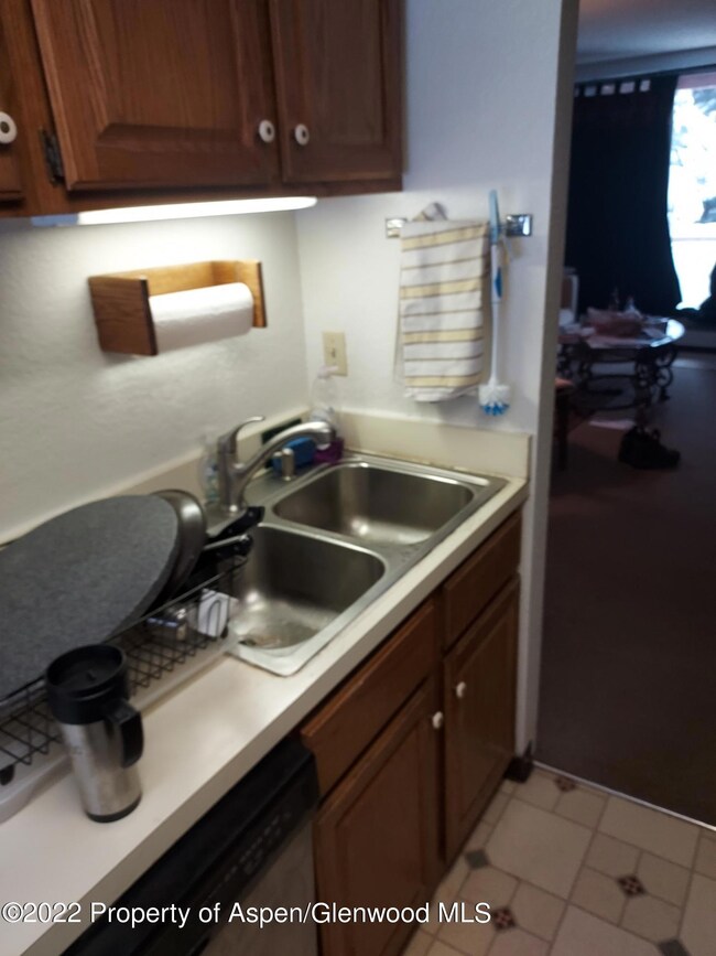 1313 Vine St unit 1313, Aspen, CO 81611 - photo 5