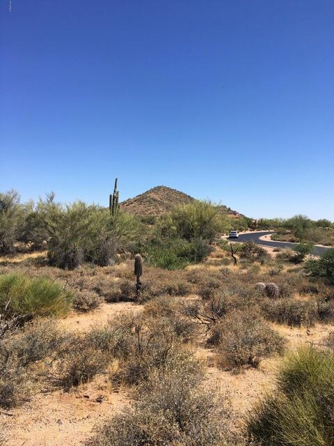 Lone Mountain Views