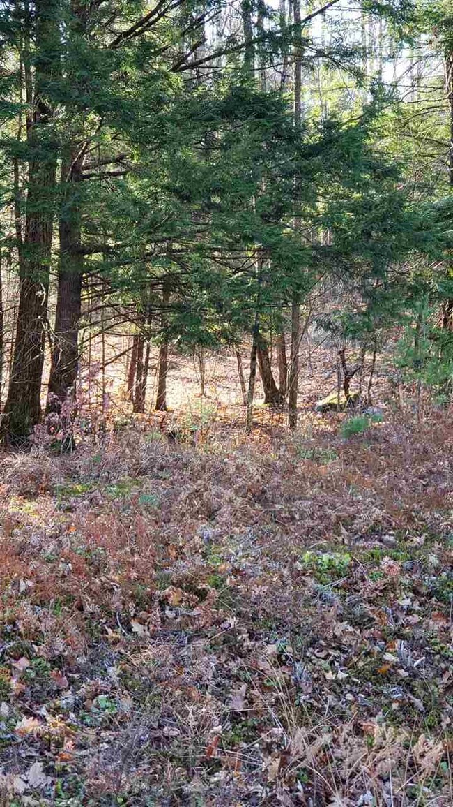 114 Weare Rd, Henniker, NH 03242 - photo 7