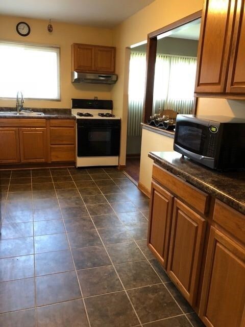 1113 N Glenwood Ave, Griffith, IN 46319 - photo 4