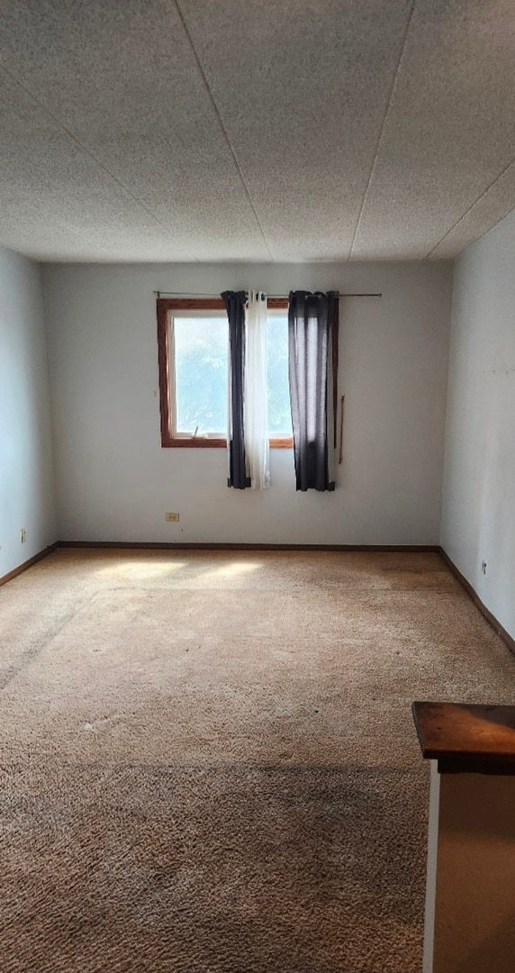 10355 Menard Ave unit 210, Oak Lawn, IL 60453 - photo 7