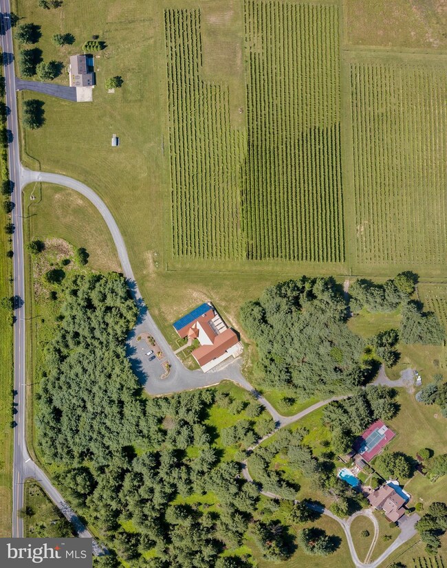 16110 Mountain Ridge Ln, Hillsboro, VA 20132 - photo 2