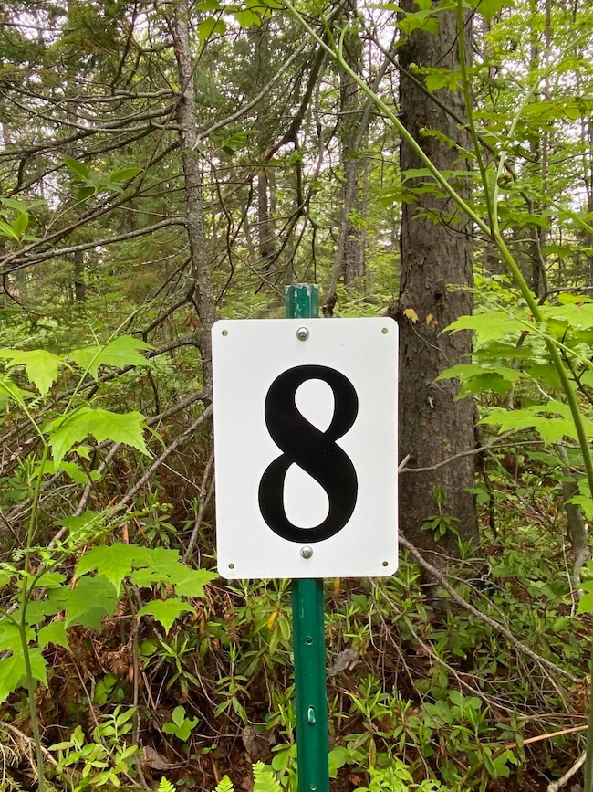 14599 N Whitefish Point Rd, Paradise, MI 49768 - photo 2