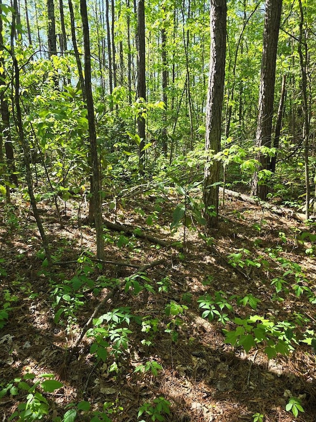 0 Hickory Cir unit 220510, Waverly Hall, GA 31831 - photo 3