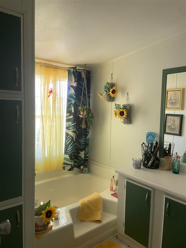 11764 S Cassidy Dr, Yuma, AZ 85367 - photo 4