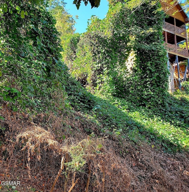 Pine Peak Way Lot 34R 5