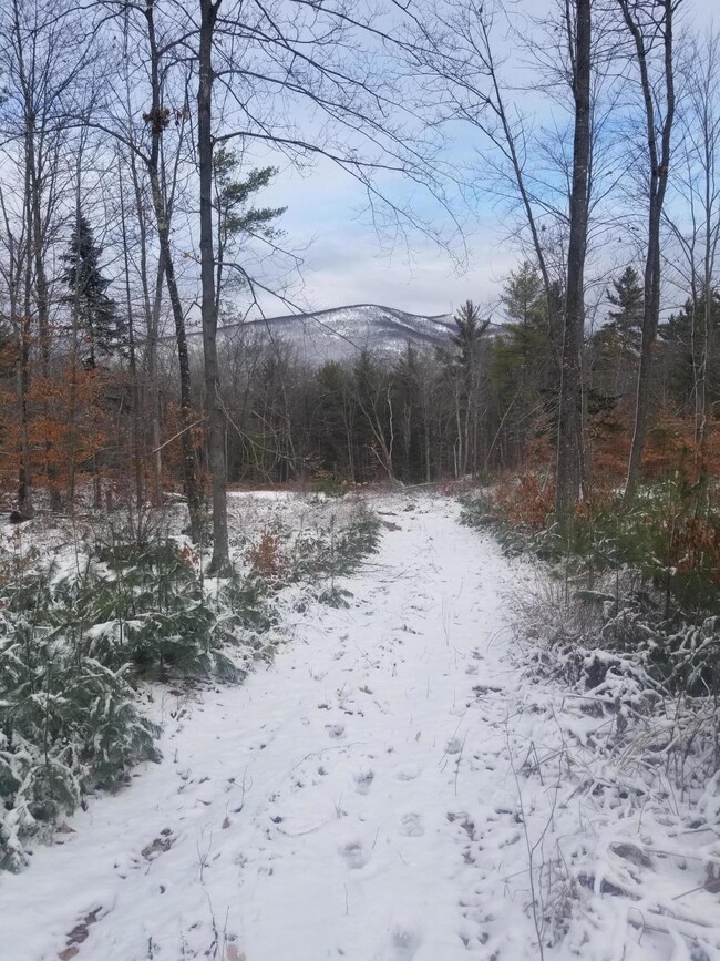 Pleasant Mtn