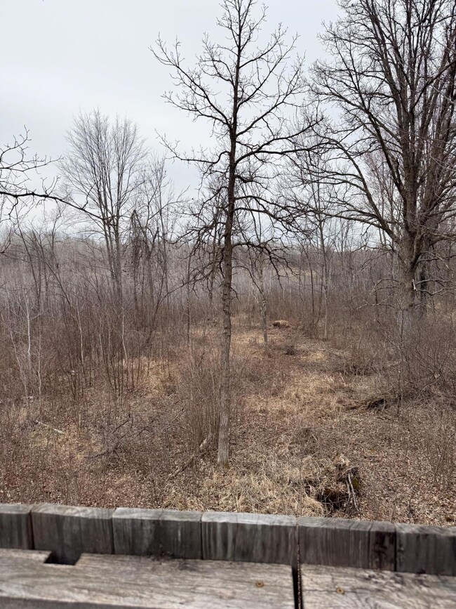 64535 Fleming Rd, Bruno, MN 55712 - photo 5