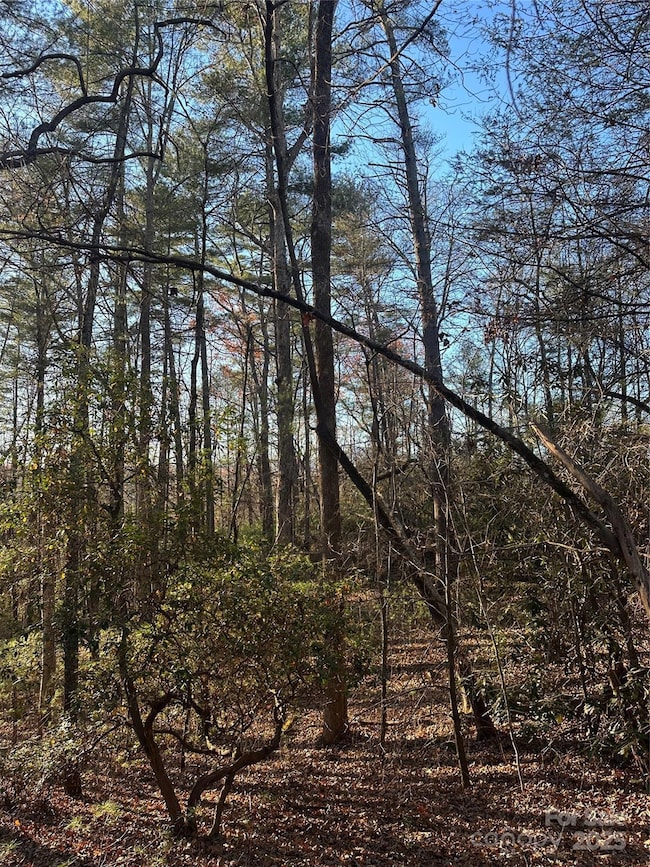 2830 Nix Creek Rd, Marion, NC 28752 - photo 5