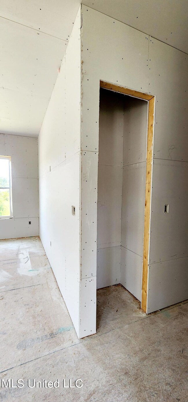 Storage Closet in Hallway
