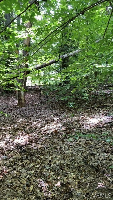 tbd Slash Pine Cir, Caroline, VA 22546 - photo 4