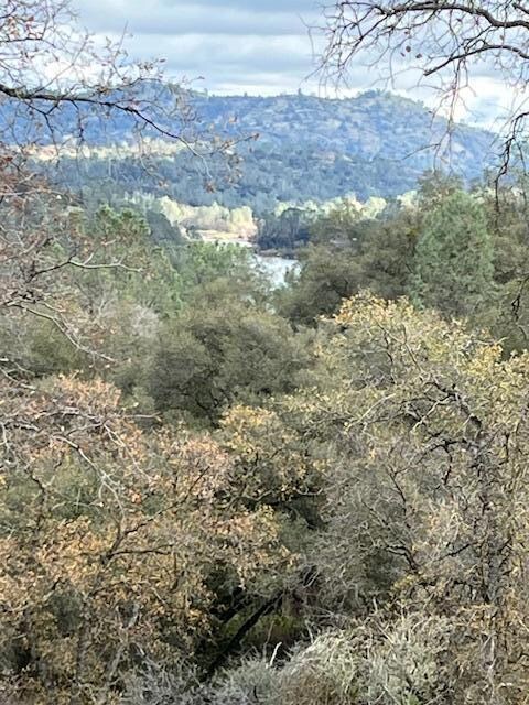 28729 Long Hollow Ct S, Yosemite Lakes, CA 93614 - photo 3