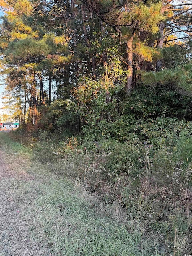 Lot 1 & 2 College Park Rd unit COLLEGE PARK, Conway, SC 29527 - photo 6