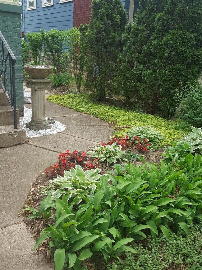 Landscaping pic front