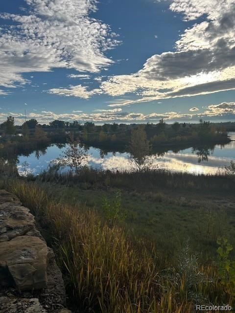 13322 Front Porch Ln, Longmont, CO 80504 - photo 4