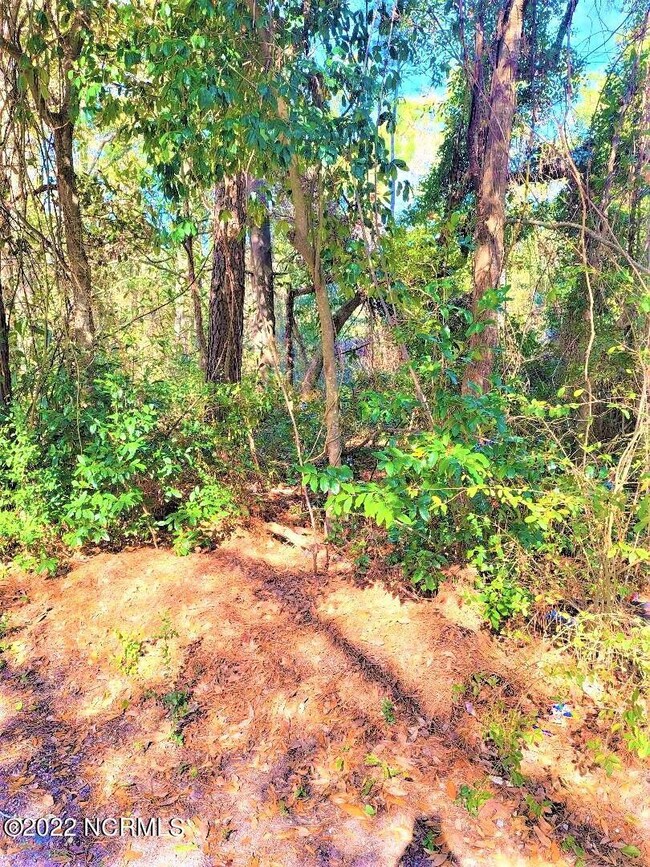 0 Hurst unit 100313936, Wilmington, NC 28405 - photo 3