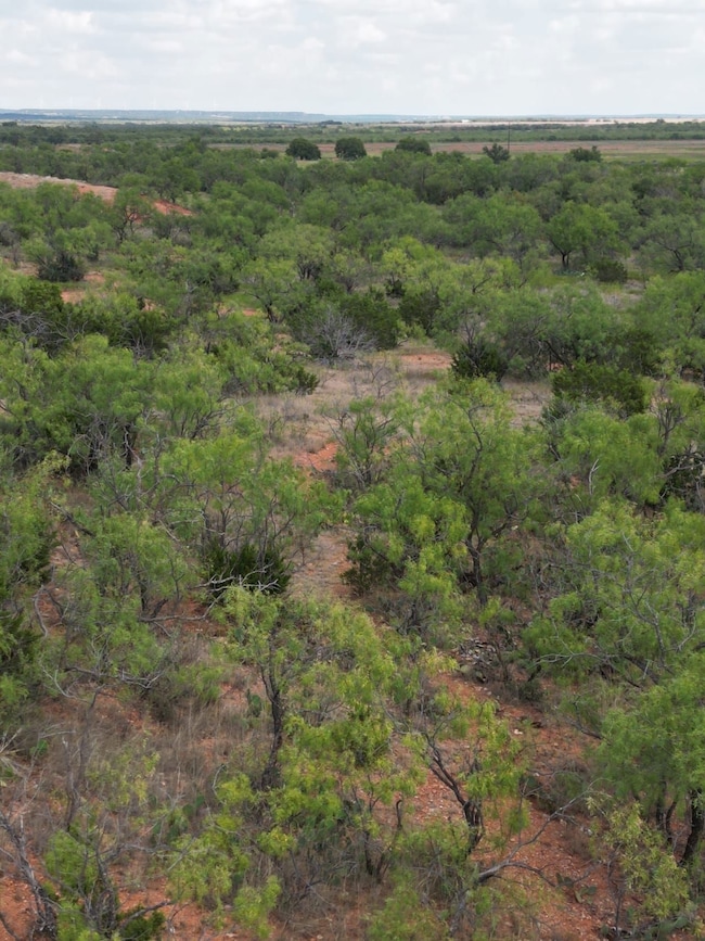 Tbd Fm 1086, Winters, TX 79567 - photo 5