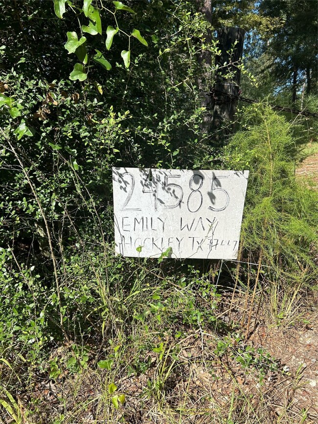 24585 Emily Way, Hockley, TX 77447 - photo 2