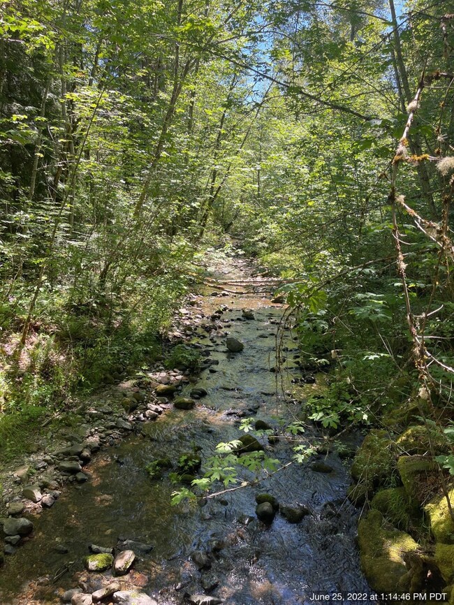 creek along property