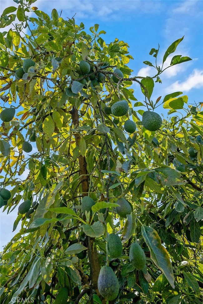 48825 Via Vaquero, Temecula, CA 92590 - photo 3