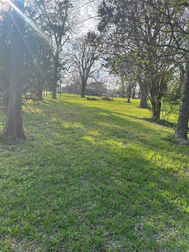 7311 Banyan St, Houston, TX 77028 - photo 4