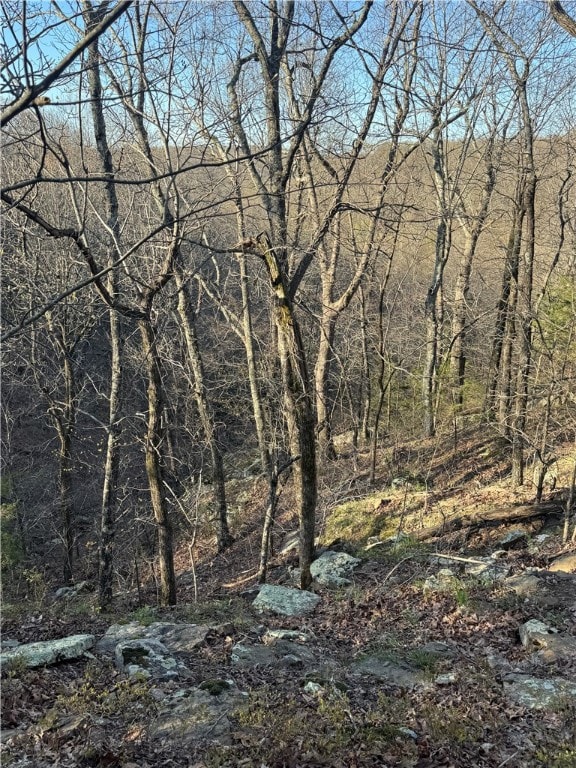 Tract 2 Nc 8374 Rd, Jasper, AR 72641 - photo 6