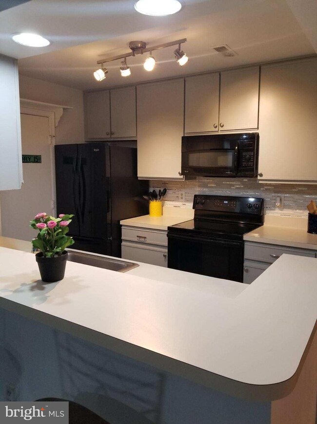 3303 Sir Thomas Dr unit 12, Silver Spring, MD 20904 - photo 7