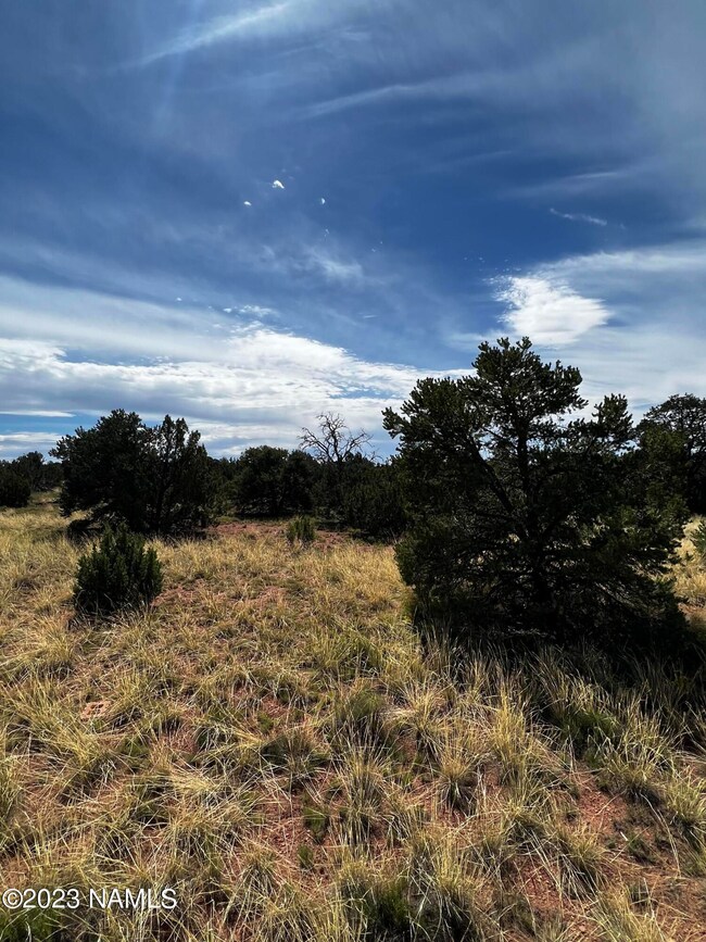 4446 Goldenrod Rd, Williams, AZ 86046 - photo 5
