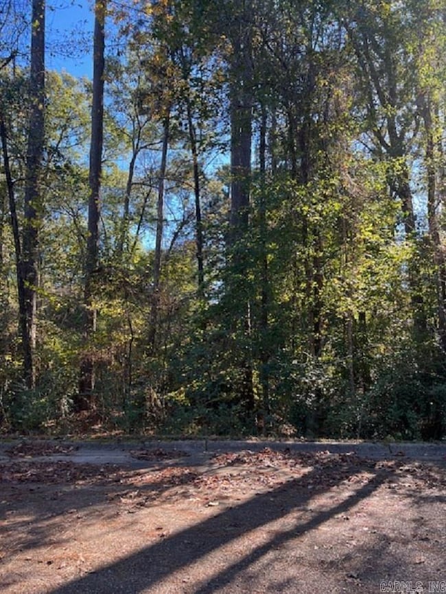 Lot 15 Mockingbird Ln, Camden, AR 71701 - photo 2