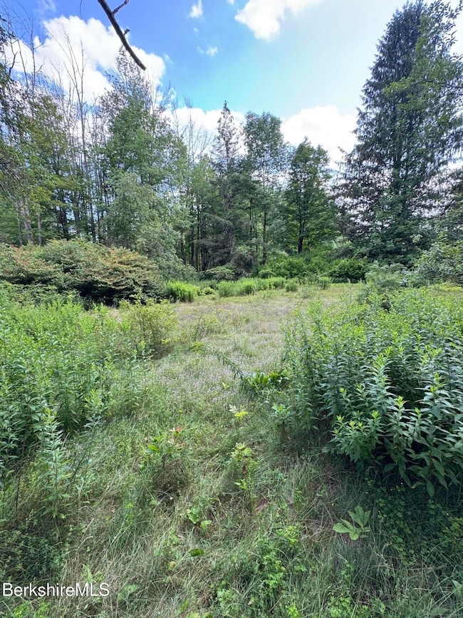 416 West Rd, Alford, MA 01266 - photo 5