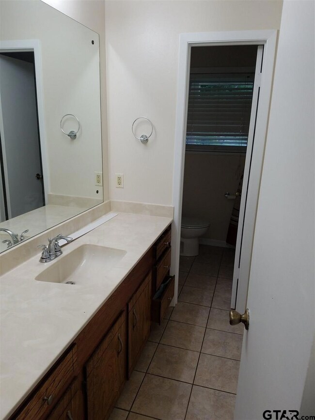 10856 County Road 2219, Tyler, TX 75707 - photo 6