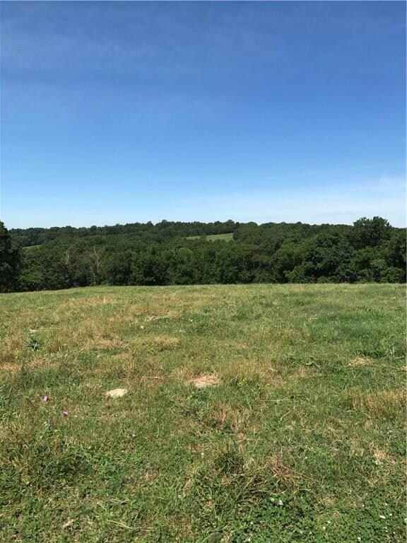 0 Steward Rd unit 1049635, Siloam Springs, AR 72761 - photo 2