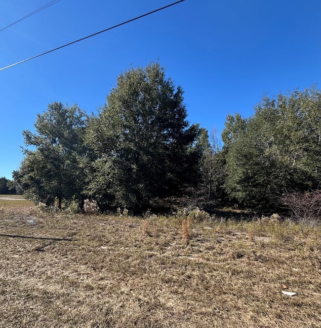 0001 NE 349 Hwy, Old Town, FL 32680 - photo 2