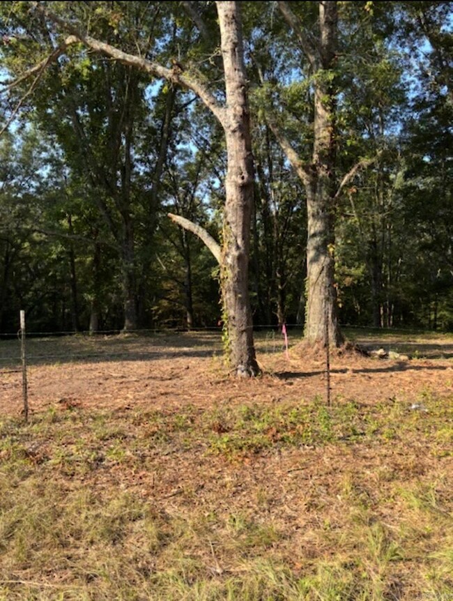Tract C 1-2 Morning Star Cir, Benton, AR 72015 - photo 5