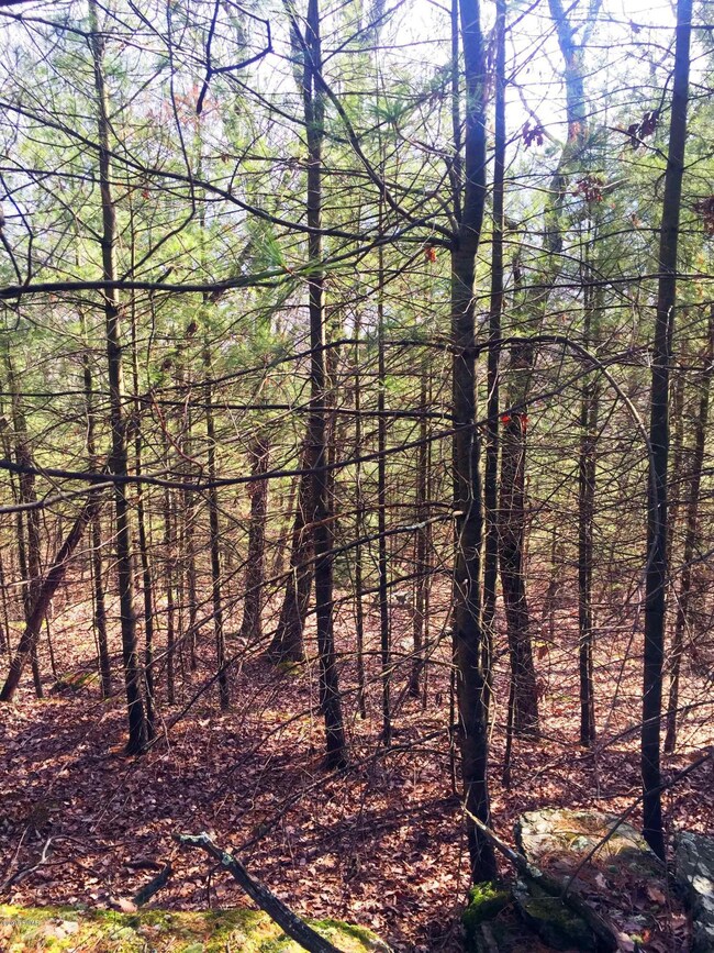 113 Pocono Circle Dr W, Dingmans Ferry, PA 18328 - photo 2