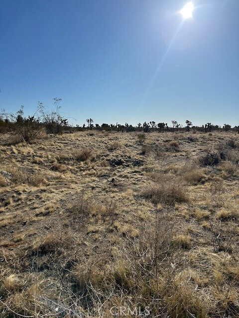 0 Pinon Hills Rd unit HD25051077, Pinon Hills, CA 92372 - photo 6