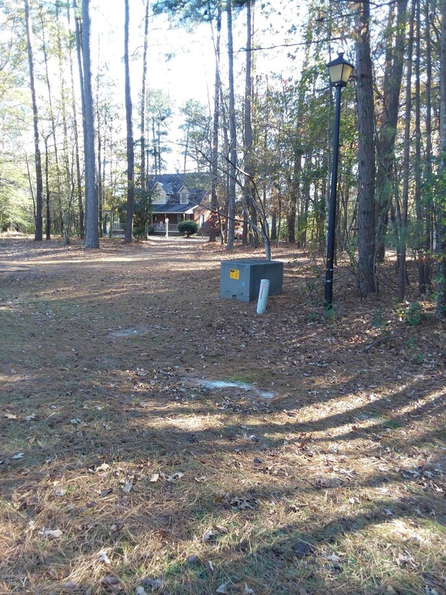 B3