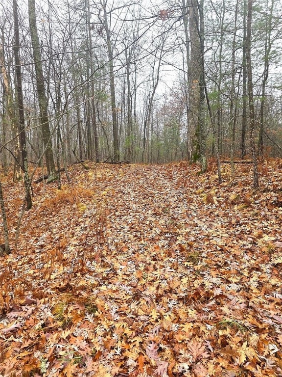 00 15th St, Johnstown, WI 54826 - photo 6