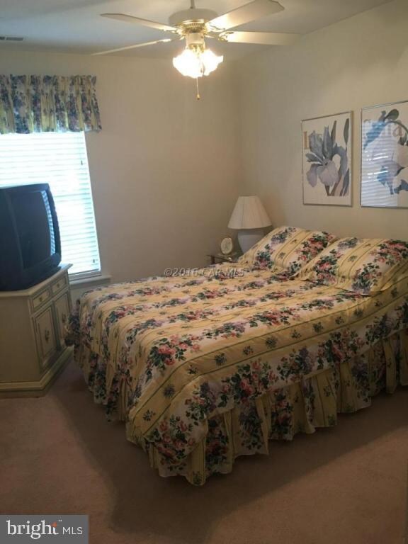 304 Ocean Pkwy, Berlin, MD 21811 - photo 7