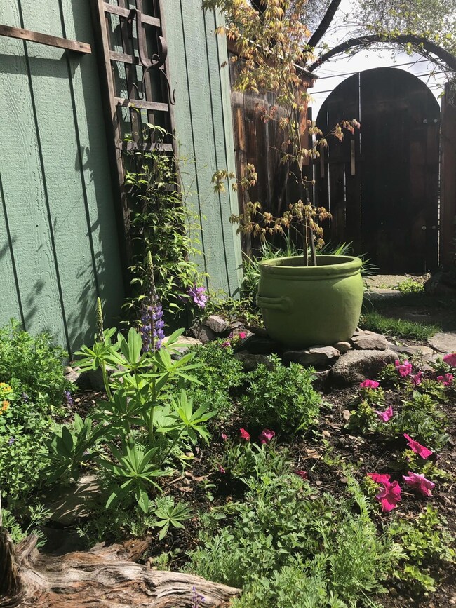 Garden Beds